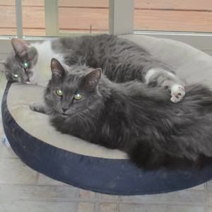 Meet your Posher, Louise